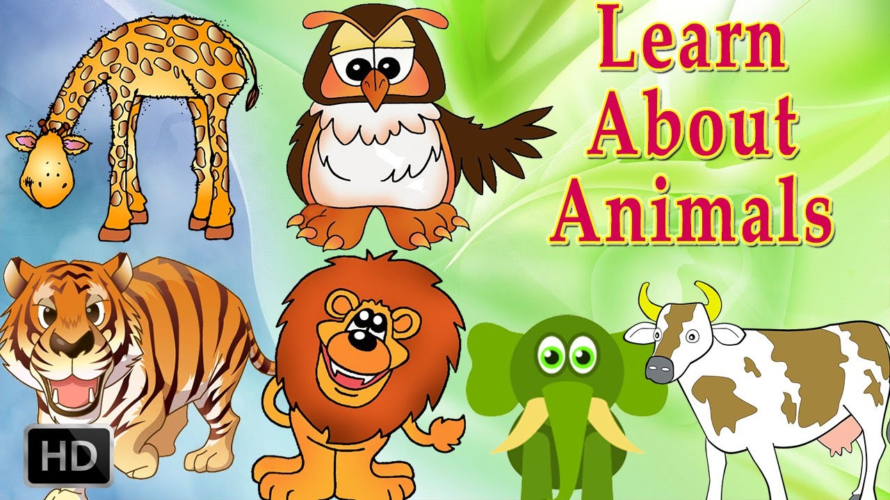 Animals for kids. Wild animals for Kids. Learn animals. About animals. Animals for Kids learn.