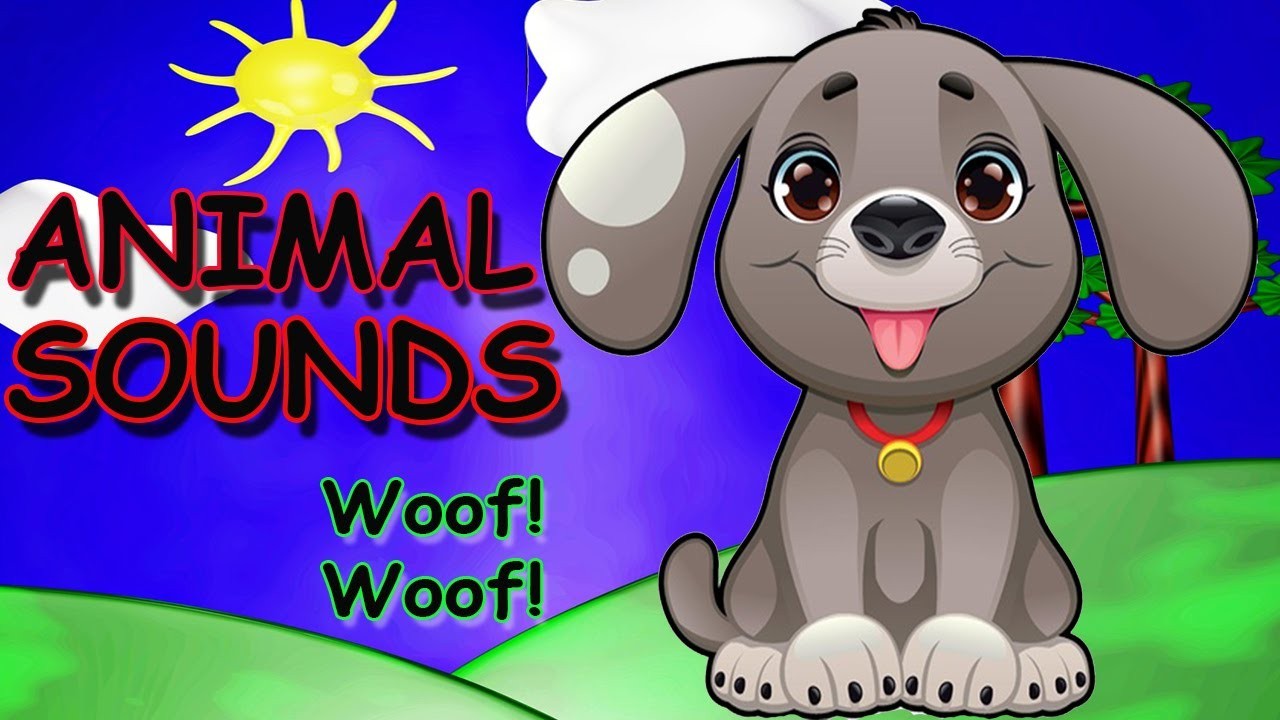 Animal song. Animals Sounds. Animal Sounds Song for Kids. Animal Sounds Sounds. Animal Sounds for Kids guess.