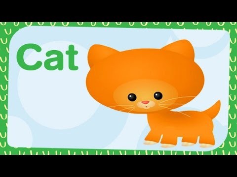 Cat - Learning Animal Sounds and Names for Kids & Toddlers - BabyTV