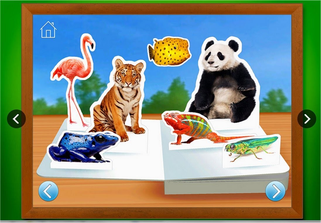 Touch animals. Learn приложение animal. Zoo на айфон. Логическая игра looking for animal story. Тетрадь зоо.