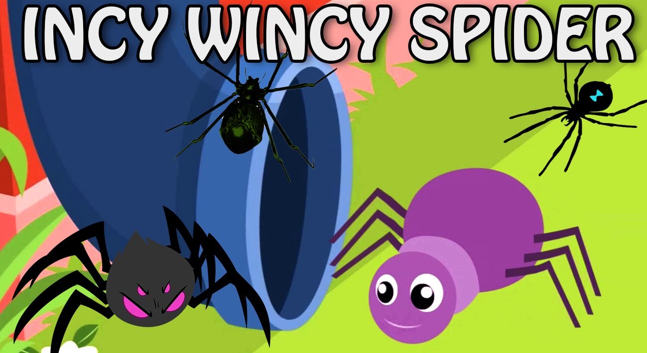 Spider songs. Винси Винси паучок. ИНСИ Винси Спайдер. Incy Wincy Spider Song for Kids. Incy Wincy Spider картинка.